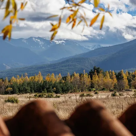 Wood & Bansko